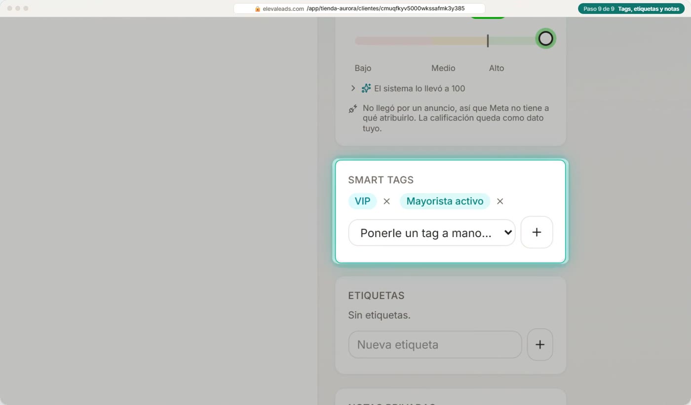 Tags, etiquetas y notas