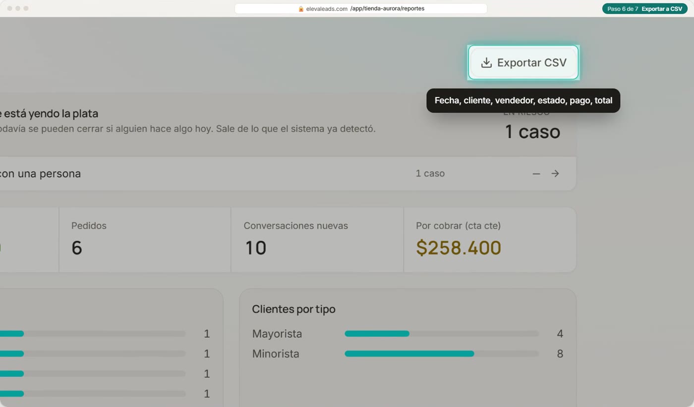 Exportar a CSV